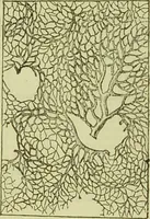 An illustration from The microscope : its history, construction, and application, being a familiar introduction to the use of the instrument, and the study of microscopical science / by Jabez Hogg ; with upwards of five hundred engravings, and coloured illustrations by Tuffen West. (1890)
