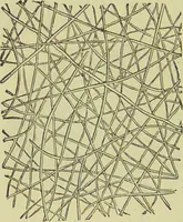 An illustration from The microscope : its history, construction, and application, being a familiar introduction to the use of the instrument, and the study of microscopical science / by Jabez Hogg ; with upwards of five hundred engravings, and coloured illustrations by Tuffen West. (1890)