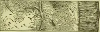 An illustration from The microscope : its history, construction, and application, being a familiar introduction to the use of the instrument, and the study of microscopical science / by Jabez Hogg ; with upwards of five hundred engravings, and coloured illustrations by Tuffen West. (1890)