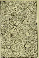An illustration from The microscope : its history, construction, and application, being a familiar introduction to the use of the instrument, and the study of microscopical science / by Jabez Hogg ; with upwards of five hundred engravings, and coloured illustrations by Tuffen West. (1890)