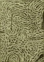 An illustration from The microscope : its history, construction, and application, being a familiar introduction to the use of the instrument, and the study of microscopical science / by Jabez Hogg ; with upwards of five hundred engravings, and coloured illustrations by Tuffen West. (1890)
