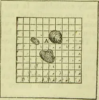 An illustration from The microscope : its history, construction, and application, being a familiar introduction to the use of the instrument, and the study of microscopical science / by Jabez Hogg ; with upwards of five hundred engravings, and coloured illustrations by Tuffen West. (1890)