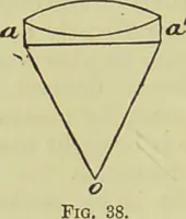 An illustration from The microscope : its history, construction, and application, being a familiar introduction to the use of the instrument, and the study of microscopical science / by Jabez Hogg ; with upwards of five hundred engravings, and coloured illustrations by Tuffen West. (1890)