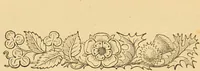 Picture 24 of 220 from Nature's revelations of character, or, The mental, moral and volitive dispositions of mankind, as manifested in the human form and countenance / by Joseph Simms. (1873), leaf 138
