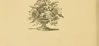Picture 25 of 220 from Nature's revelations of character, or, The mental, moral and volitive dispositions of mankind, as manifested in the human form and countenance / by Joseph Simms. (1873), leaf 150