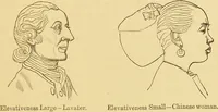 Picture 34 of 220 from Nature's revelations of character, or, The mental, moral and volitive dispositions of mankind, as manifested in the human form and countenance / by Joseph Simms. (1873), leaf 165