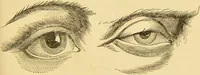 Picture 53 of 220 from Nature's revelations of character, or, The mental, moral and volitive dispositions of mankind, as manifested in the human form and countenance / by Joseph Simms. (1873), leaf 191
