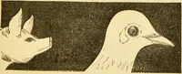 Picture 54 of 220 from Nature's revelations of character, or, The mental, moral and volitive dispositions of mankind, as manifested in the human form and countenance / by Joseph Simms. (1873), leaf 191