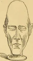 An illustration from Nature's revelations of character, or, The mental, moral and volitive dispositions of mankind, as manifested in the human form and countenance / by Joseph Simms. (1873)