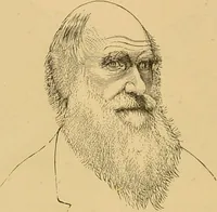 Picture 83 of 220 from Nature's revelations of character, or, The mental, moral and volitive dispositions of mankind, as manifested in the human form and countenance / by Joseph Simms. (1873), leaf 220