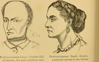 An illustration from Nature's revelations of character, or, The mental, moral and volitive dispositions of mankind, as manifested in the human form and countenance / by Joseph Simms. (1873)
