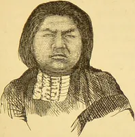 An illustration from Nature's revelations of character, or, The mental, moral and volitive dispositions of mankind, as manifested in the human form and countenance / by Joseph Simms. (1873)