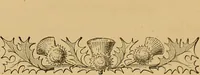 Picture 141 of 220 from Nature's revelations of character, or, The mental, moral and volitive dispositions of mankind, as manifested in the human form and countenance / by Joseph Simms. (1873), leaf 304