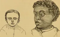 An illustration from Nature's revelations of character, or, The mental, moral and volitive dispositions of mankind, as manifested in the human form and countenance / by Joseph Simms. (1873)