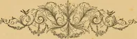 Picture 152 of 220 from Nature's revelations of character, or, The mental, moral and volitive dispositions of mankind, as manifested in the human form and countenance / by Joseph Simms. (1873), leaf 330