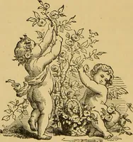 Picture 153 of 220 from Nature's revelations of character, or, The mental, moral and volitive dispositions of mankind, as manifested in the human form and countenance / by Joseph Simms. (1873), leaf 366