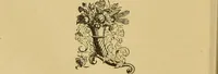 Picture 158 of 220 from Nature's revelations of character, or, The mental, moral and volitive dispositions of mankind, as manifested in the human form and countenance / by Joseph Simms. (1873), leaf 384
