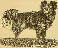 An illustration from Nature's revelations of character, or, The mental, moral and volitive dispositions of mankind, as manifested in the human form and countenance / by Joseph Simms. (1873)