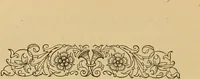 Picture 167 of 220 from Nature's revelations of character, or, The mental, moral and volitive dispositions of mankind, as manifested in the human form and countenance / by Joseph Simms. (1873), leaf 416