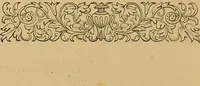 Picture 175 of 220 from Nature's revelations of character, or, The mental, moral and volitive dispositions of mankind, as manifested in the human form and countenance / by Joseph Simms. (1873), leaf 462