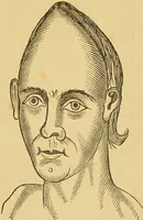 An illustration from Nature's revelations of character, or, The mental, moral and volitive dispositions of mankind, as manifested in the human form and countenance / by Joseph Simms. (1873)