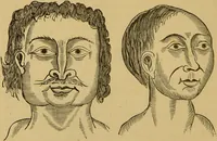 An illustration from Nature's revelations of character, or, The mental, moral and volitive dispositions of mankind, as manifested in the human form and countenance / by Joseph Simms. (1873)