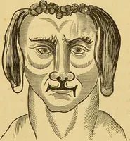 An illustration from Nature's revelations of character, or, The mental, moral and volitive dispositions of mankind, as manifested in the human form and countenance / by Joseph Simms. (1873)