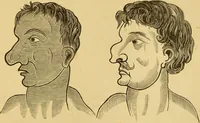 Picture 198 of 220 from Nature's revelations of character, or, The mental, moral and volitive dispositions of mankind, as manifested in the human form and countenance / by Joseph Simms. (1873), leaf 541