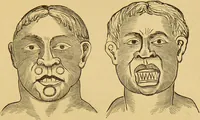 An illustration from Nature's revelations of character, or, The mental, moral and volitive dispositions of mankind, as manifested in the human form and countenance / by Joseph Simms. (1873)