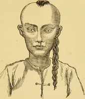 Picture 206 of 220 from Nature's revelations of character, or, The mental, moral and volitive dispositions of mankind, as manifested in the human form and countenance / by Joseph Simms. (1873), leaf 551