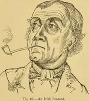 Picture 212 of 220 from Nature's revelations of character, or, The mental, moral and volitive dispositions of mankind, as manifested in the human form and countenance / by Joseph Simms. (1873), leaf 561