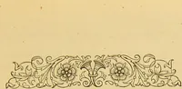 Picture 214 of 220 from Nature's revelations of character, or, The mental, moral and volitive dispositions of mankind, as manifested in the human form and countenance / by Joseph Simms. (1873), leaf 565
