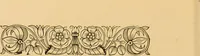 Picture 216 of 220 from Nature's revelations of character, or, The mental, moral and volitive dispositions of mankind, as manifested in the human form and countenance / by Joseph Simms. (1873), leaf 574