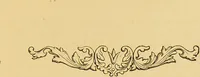 An illustration from Nature's revelations of character, or, The mental, moral and volitive dispositions of mankind, as manifested in the human form and countenance / by Joseph Simms. (1873)