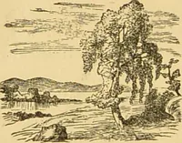 Picture 218 of 220 from Nature's revelations of character, or, The mental, moral and volitive dispositions of mankind, as manifested in the human form and countenance / by Joseph Simms. (1873), leaf 584