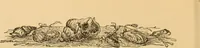 Picture 219 of 220 from Nature's revelations of character, or, The mental, moral and volitive dispositions of mankind, as manifested in the human form and countenance / by Joseph Simms. (1873), leaf 600