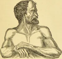 Picture 11 of 220 from Nature's revelations of character, or, The mental, moral and volitive dispositions of mankind, as manifested in the human form and countenance / by Joseph Simms. (1873), leaf 89