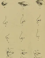 An illustration from Physiognomik und Mimik / von Paolo Mantegazza ; mit mehr als hundert original-zeichmungen von Hector und Edward Ximenes ; vom verfasser genehmigte übersetzung von R. Löwenfeld. (1890)