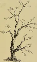An illustration from Physiognomik und Mimik / von Paolo Mantegazza ; mit mehr als hundert original-zeichmungen von Hector und Edward Ximenes ; vom verfasser genehmigte übersetzung von R. Löwenfeld. (1890)