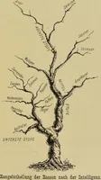 Picture 4 of 29 from Physiognomik und Mimik / von Paolo Mantegazza ; mit mehr als hundert original-zeichmungen von Hector und Edward Ximenes ; vom verfasser genehmigte übersetzung von R. Löwenfeld. (1890), leaf 151