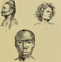 An illustration from Physiognomik und Mimik / von Paolo Mantegazza ; mit mehr als hundert original-zeichmungen von Hector und Edward Ximenes ; vom verfasser genehmigte übersetzung von R. Löwenfeld. (1890)