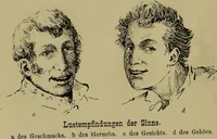 Picture 11 of 29 from Physiognomik und Mimik / von Paolo Mantegazza ; mit mehr als hundert original-zeichmungen von Hector und Edward Ximenes ; vom verfasser genehmigte übersetzung von R. Löwenfeld. (1890), leaf 158