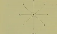 Picture 25 of 29 from Physiognomik und Mimik / von Paolo Mantegazza ; mit mehr als hundert original-zeichmungen von Hector und Edward Ximenes ; vom verfasser genehmigte übersetzung von R. Löwenfeld. (1890), leaf 202