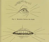 Picture 27 of 29 from Physiognomik und Mimik / von Paolo Mantegazza ; mit mehr als hundert original-zeichmungen von Hector und Edward Ximenes ; vom verfasser genehmigte übersetzung von R. Löwenfeld. (1890), leaf 513