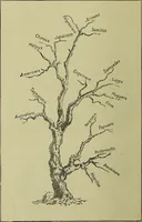 Picture 7 of 13 from Physiognomy and expression / by Paolo Mantegazza. (1890), leaf 328