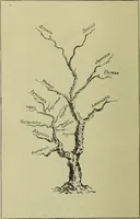 Picture 9 of 13 from Physiognomy and expression / by Paolo Mantegazza. (1890), leaf 330