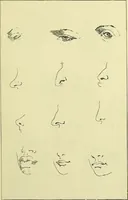 An illustration from Physiognomy and expression / by Paolo Mantegazza. (1890)