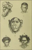 An illustration from Physiognomy and expression / by Paolo Mantegazza. (1890)