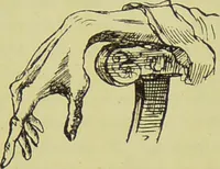 An illustration from The science of the hand, or, The art of recognising the tendencies of the human mind by the observation of the formations of the hands = la science de la main / translated from the French of C.S. D'Arpentigny and edited ... by Ed. Heron-Allen ; with original plates and explanatory diagrams by Rosamund Brunel Horsley. (1886)