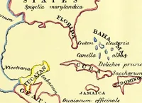 An illustration from A series of botanical tables, and tables of the materia medica, designed for the use of students preparing for examination at Apothecaries' Hall : illustrated with numerous engravings on wood, and four coloured medico-botanical maps of Europe, Asia, Africa, and America, showing the geographical situation of all the plants of the Pharmacopoeia / by W.K. Toase. (1835)